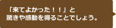 「来てよかった!!」と驚きや感動を得ることでしょう。